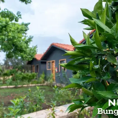 Nun BungaLove