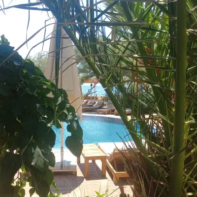 Olive Odore Palace Hotel