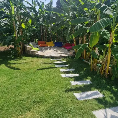 Sun Garden Apart