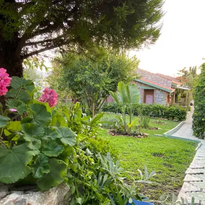 Suna House Hotel