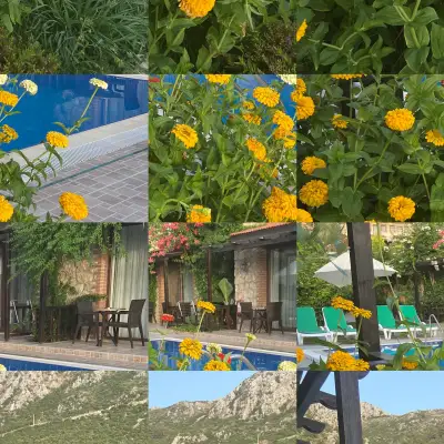 Suna House Otel