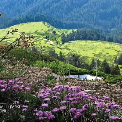 Uğurlu Konakları