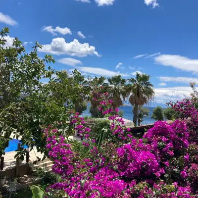 Yılmaz Beach Hotel