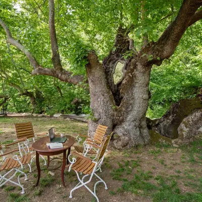 Yusalis Garden Hotel