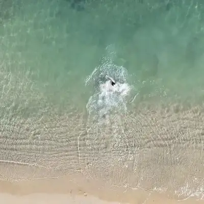 Z-Villas Beach Hotel