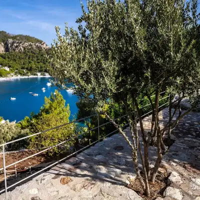 Z-Villas Beach Hotel
