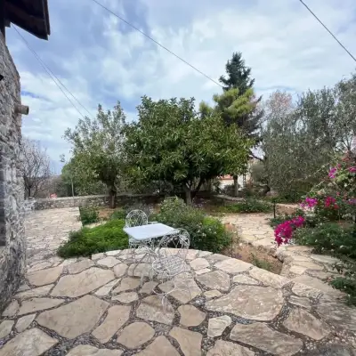 Zeytin Evi